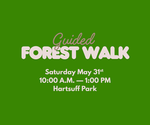 Guided Forest Saturday May 31st, 10 am to 1 pm at Hartsuff Park